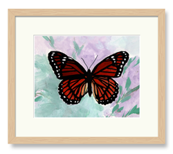 Butterflies Art Monarch